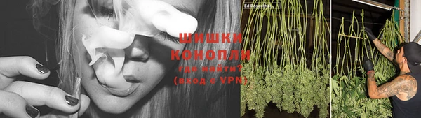 PSILOCYBIN Заводоуковск