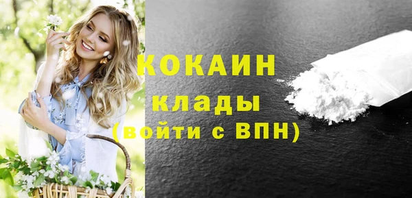 PSILOCYBIN Заводоуковск