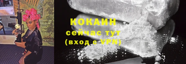 PSILOCYBIN Заводоуковск