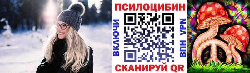 Псилоцибиновые грибы мухоморы  ОМГ ОМГ как зайти  Северо-Курильск 